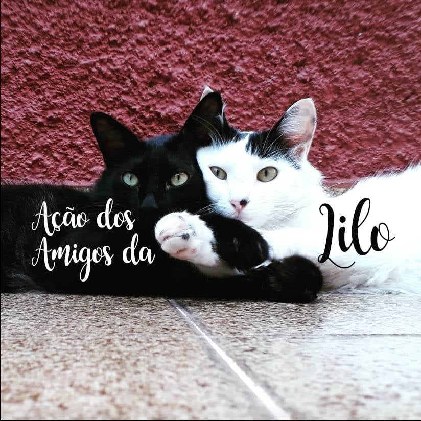Ação Amigos da Lilo =ˆ.ˆ=