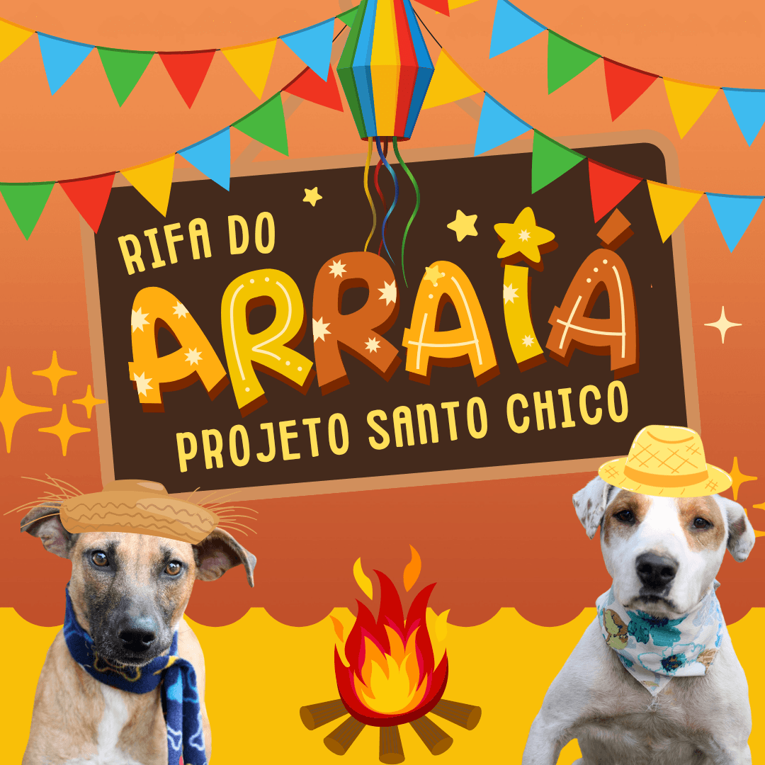 Rifa do Arraiá Projeto Santo Chico