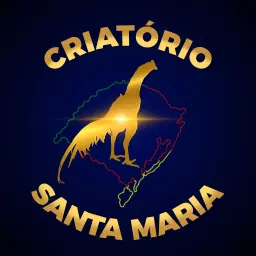 PRESENTE