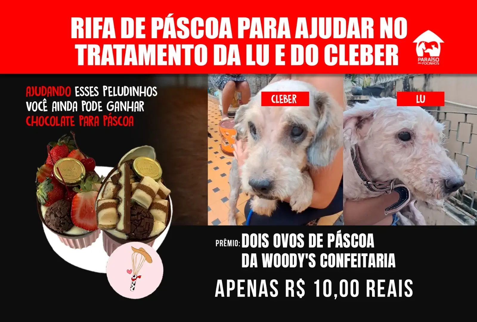 1ª imagem da campanha
