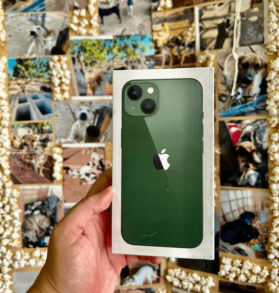 IPHONE 13 128GB - ABRIGO DOS ANJOS