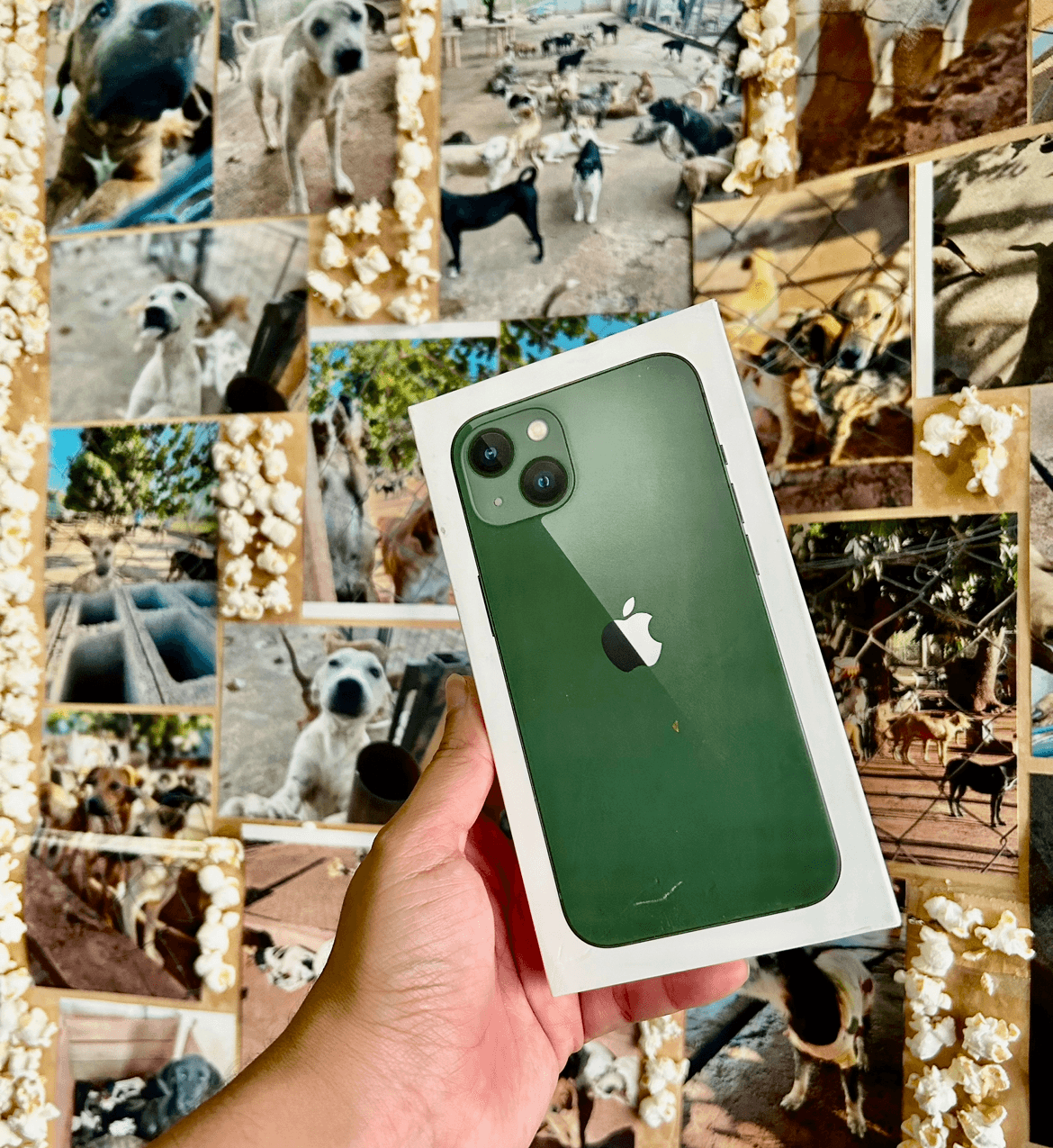 2ª imagem da campanha