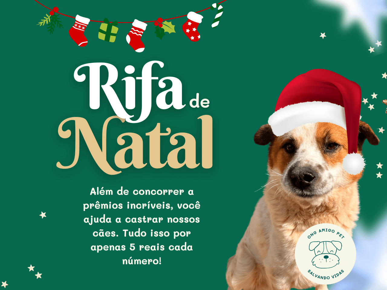 Rifa de Natal da ONG Amigo Pet