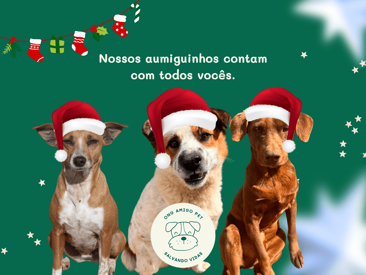 2ª imagem da campanha