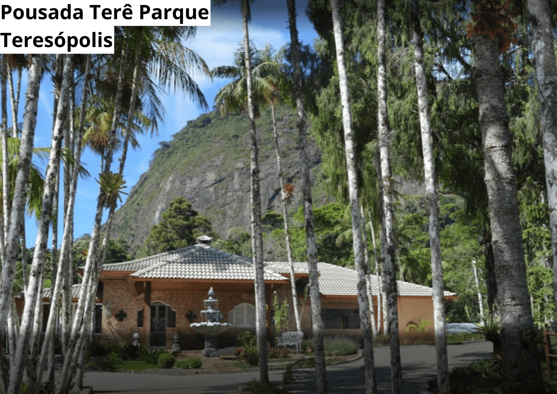 25ª imagem da campanha