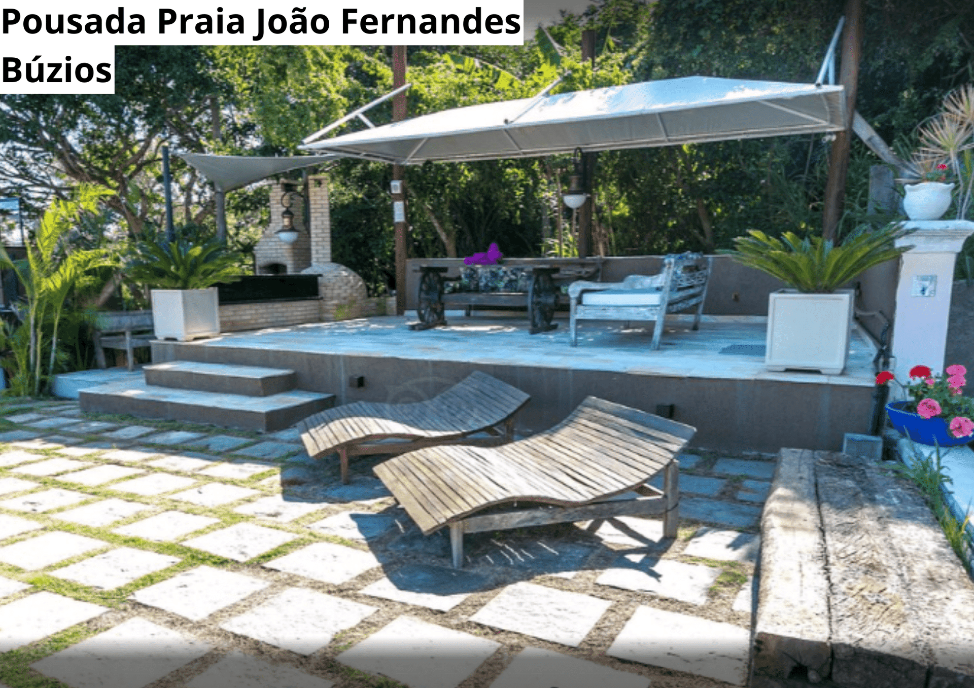 37ª imagem da campanha
