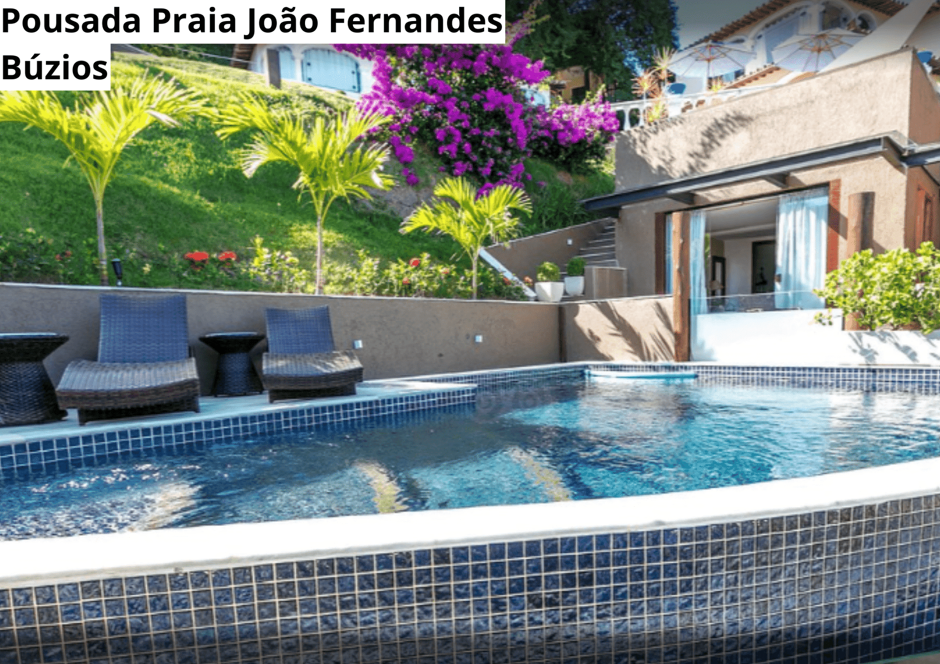 43ª imagem da campanha