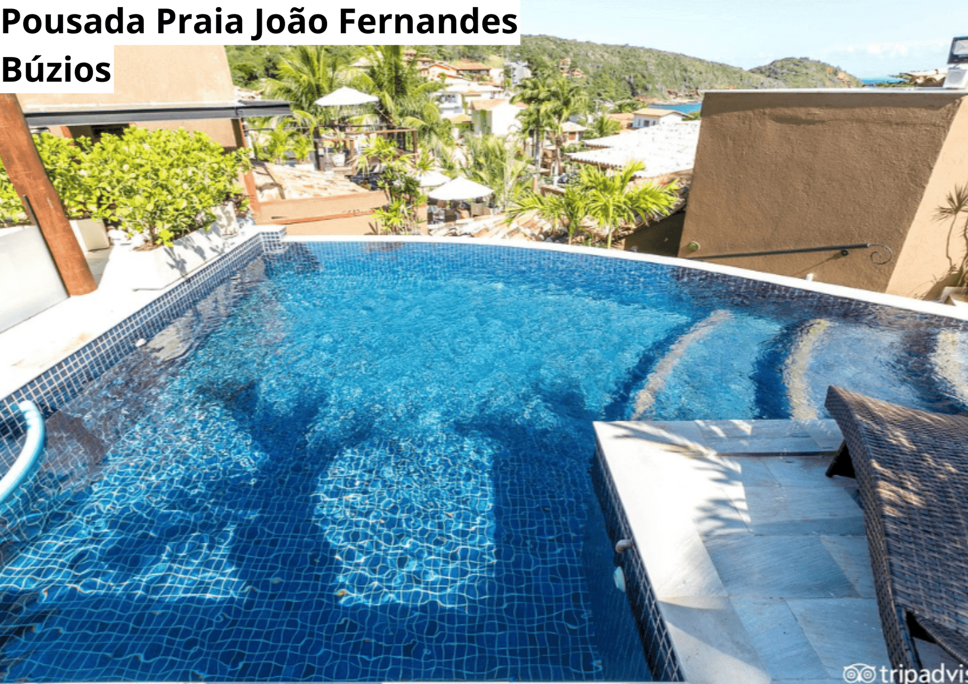 40ª imagem da campanha