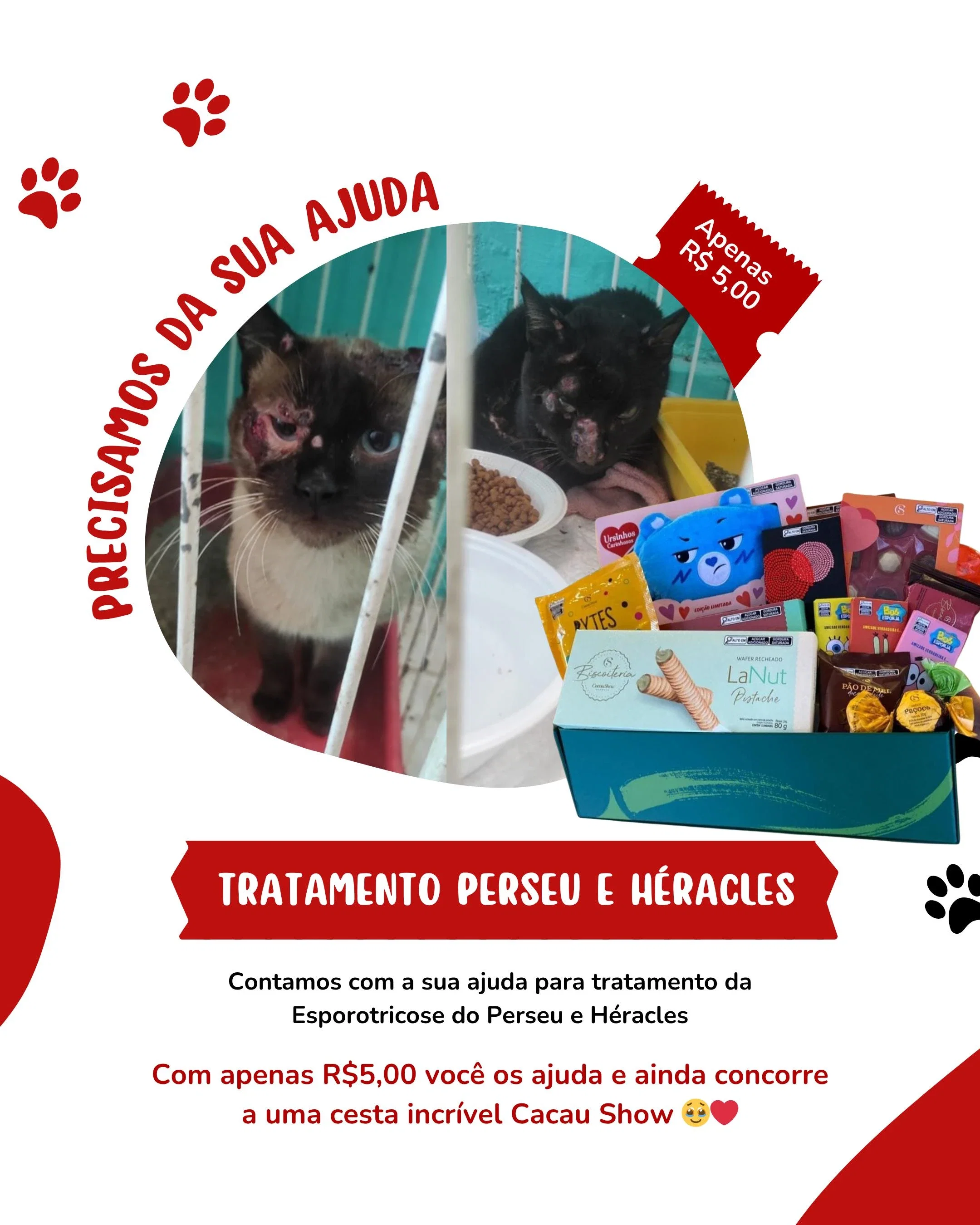 Tratamento Perseu e Héracles
