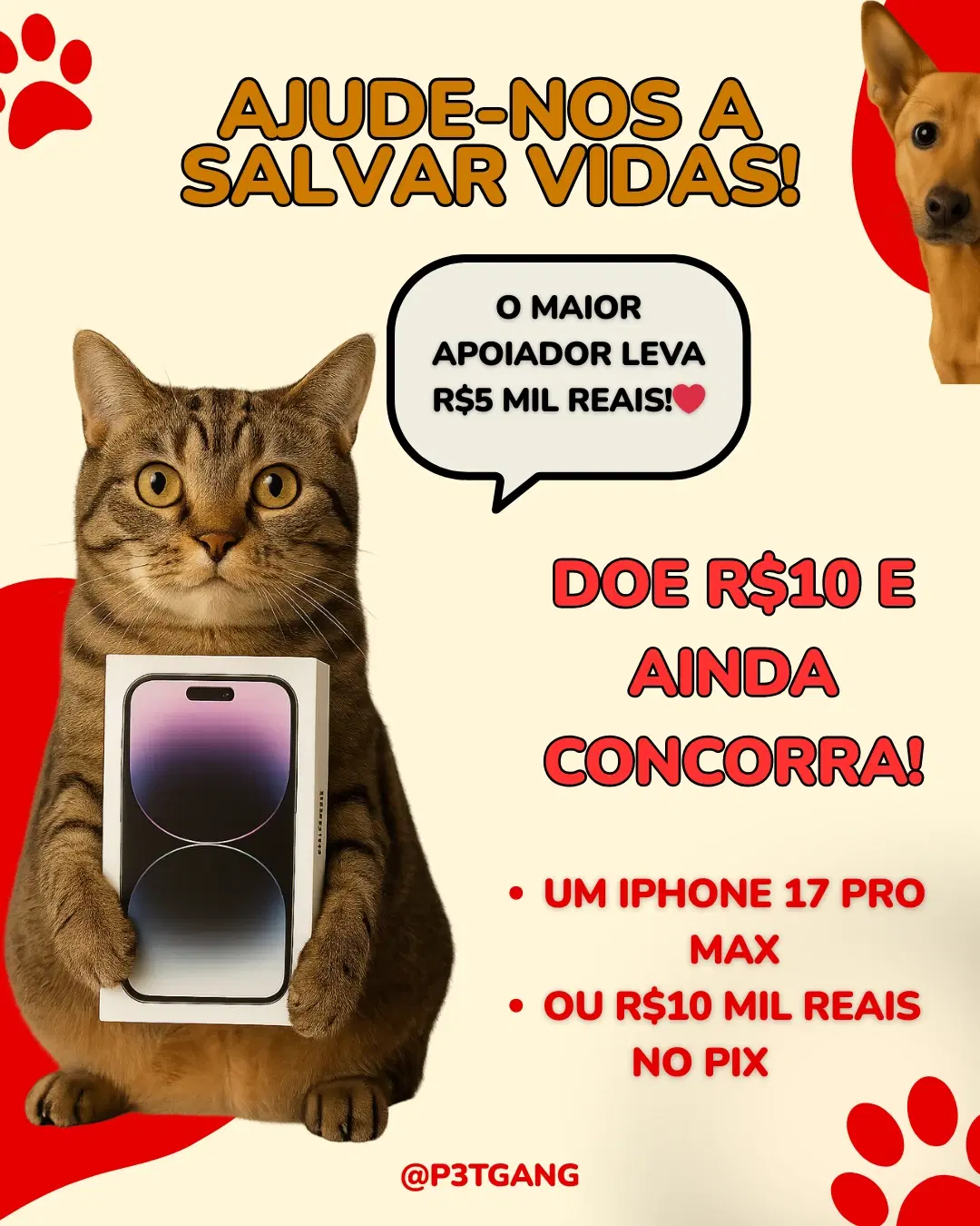 1ª imagem da campanha