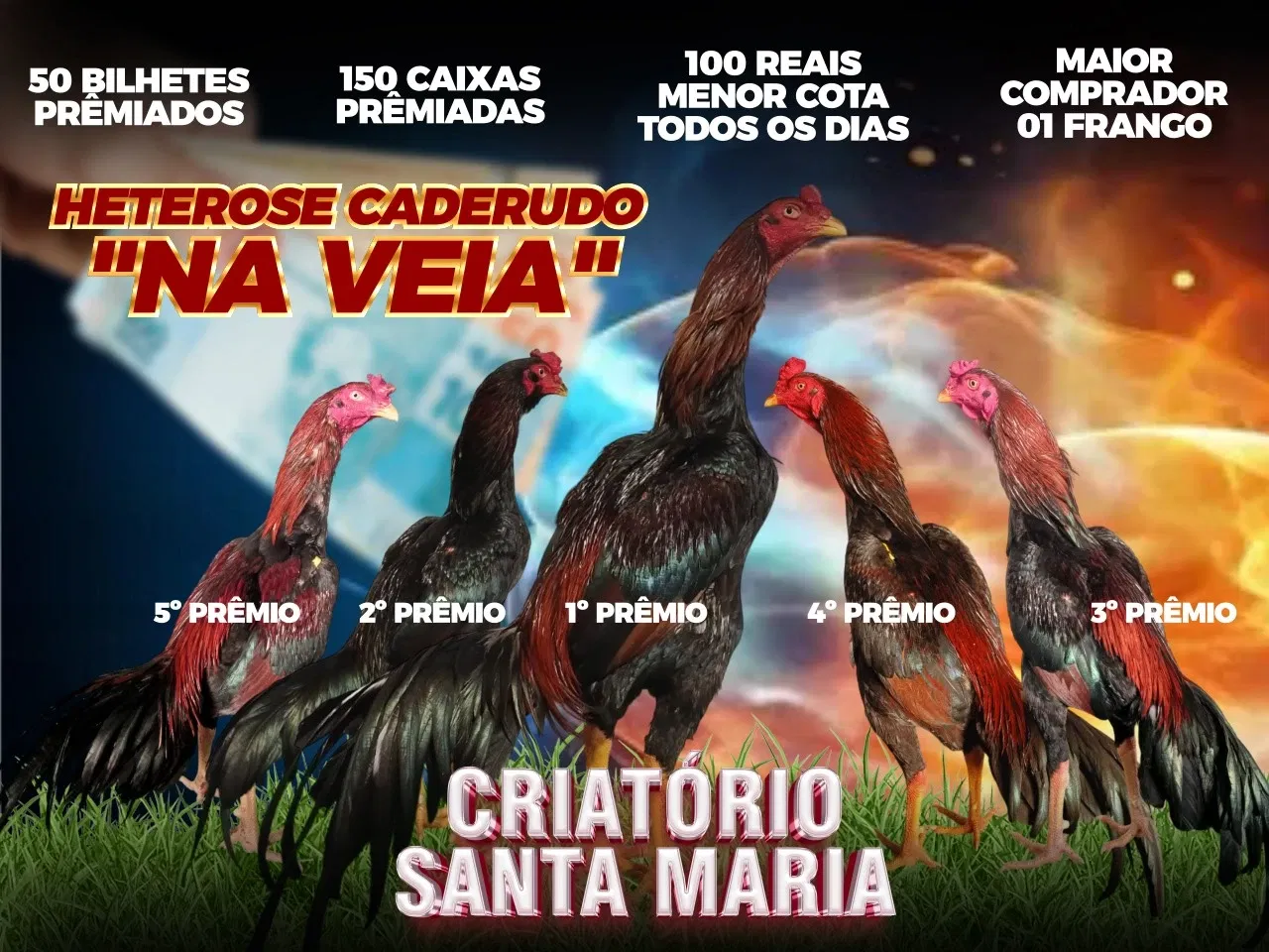 HETEROSE CADERUDO NA VEIA
