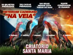 HETEROSE CADERUDO NA VEIA