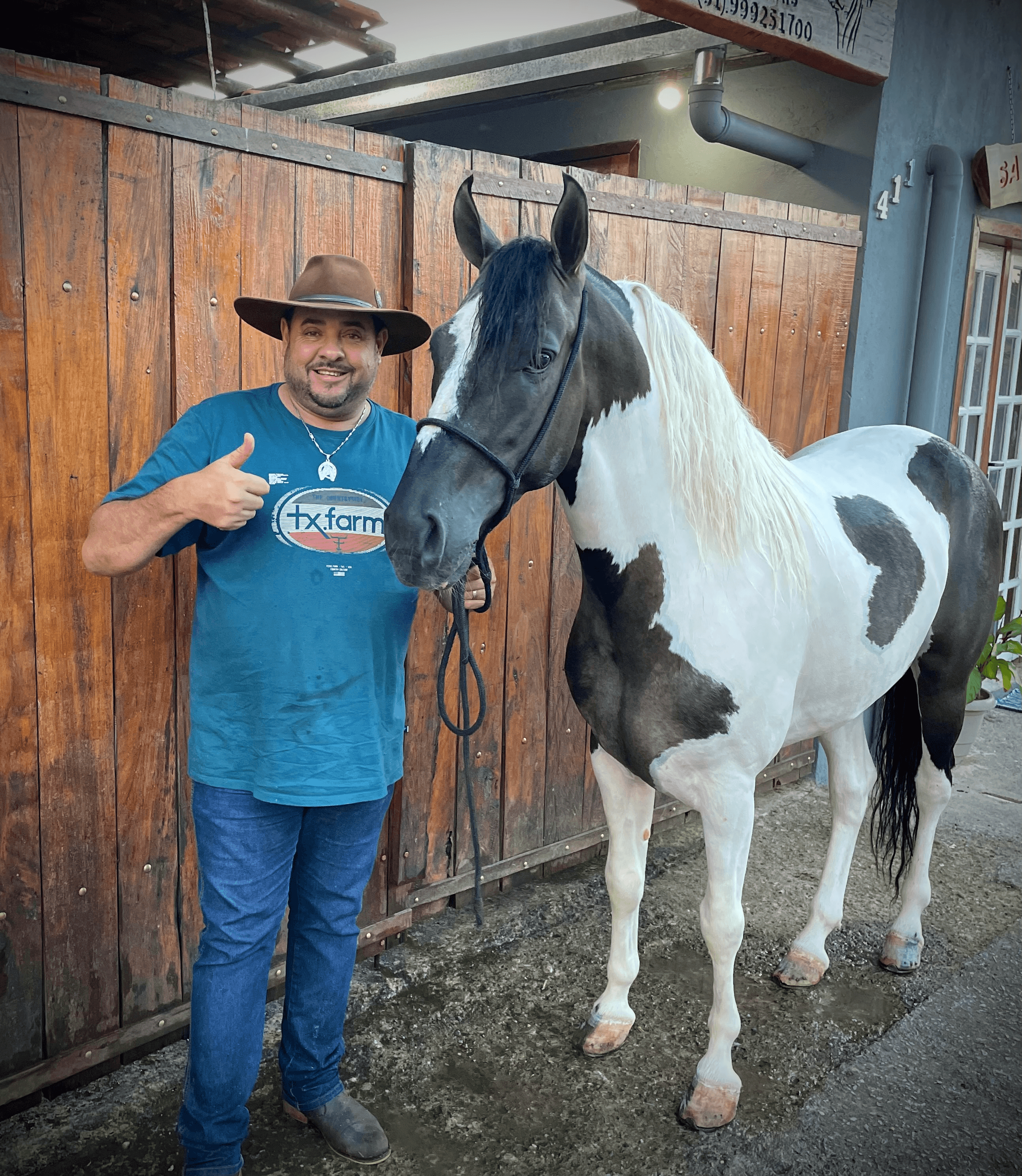 CAVALO PAMPA