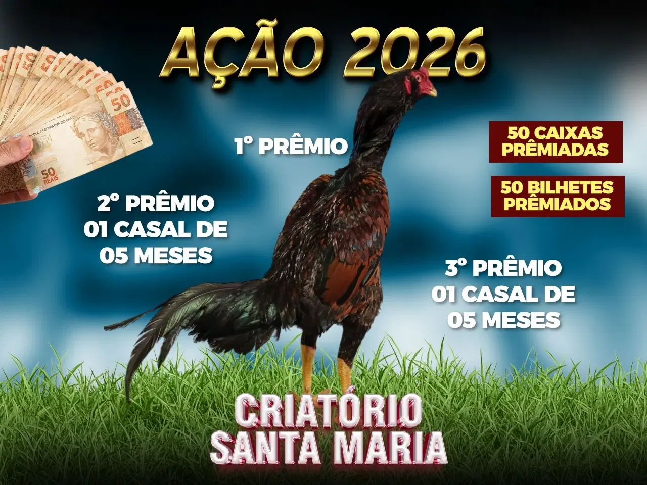 1ª imagem da campanha