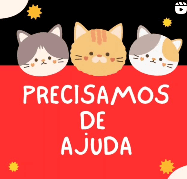 1ª imagem da campanha