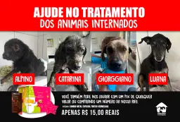 NATAL SOLIDÁRIO