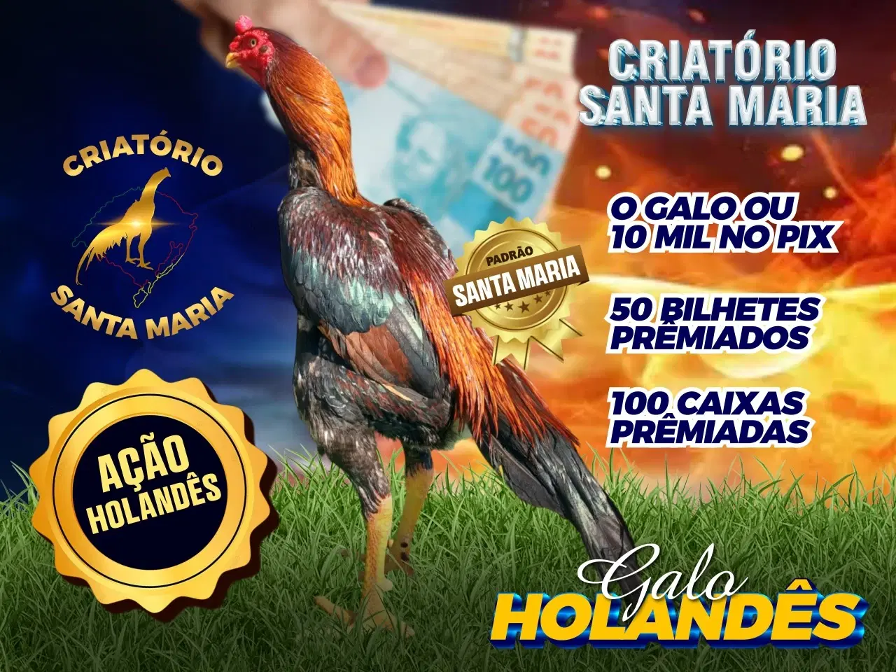 1ª imagem da campanha