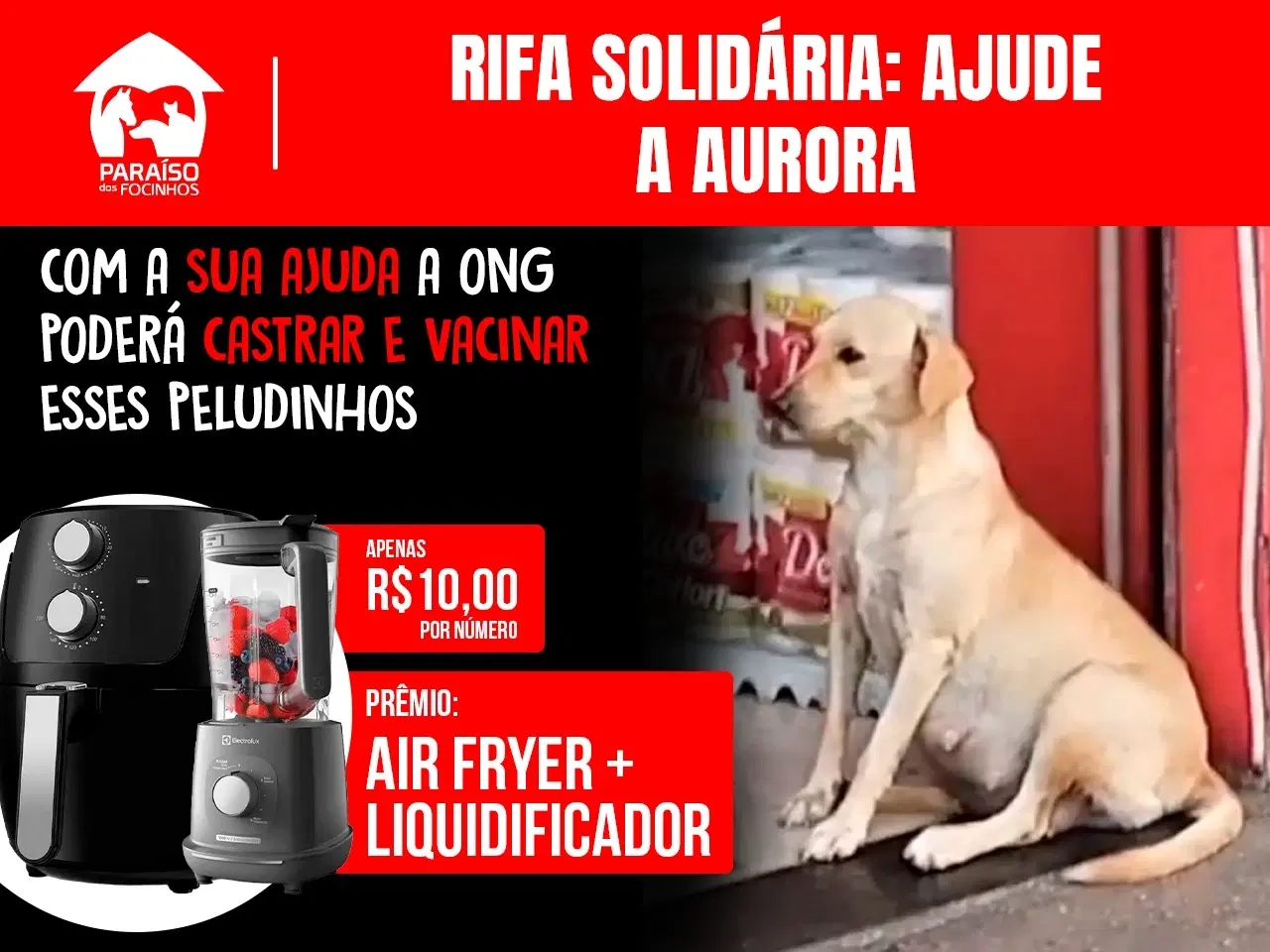 Rifa Solidária - Ajude na castração, vacinação da Aurora e seus filhotes