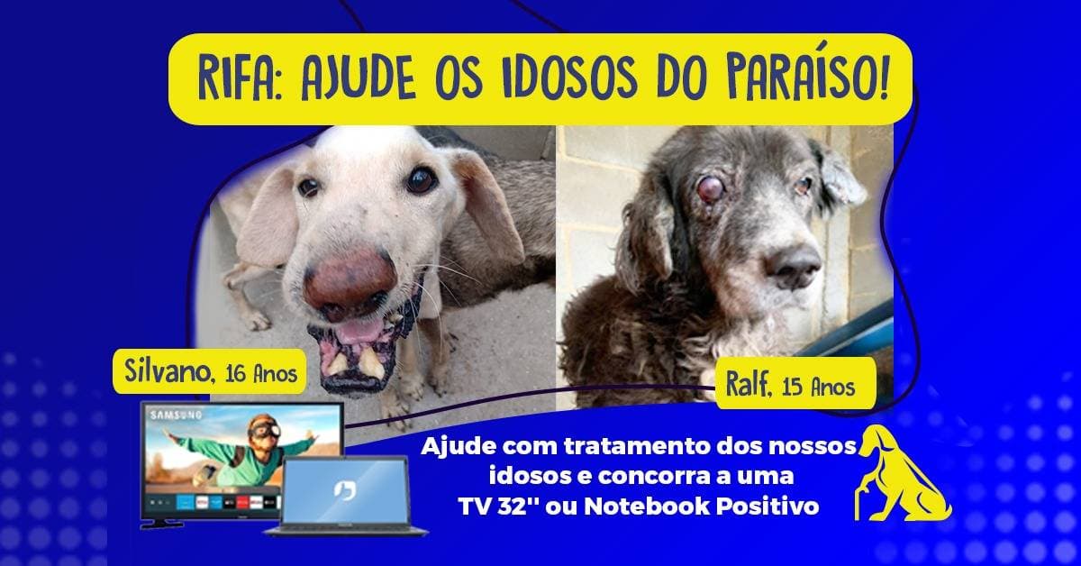 1ª imagem da campanha