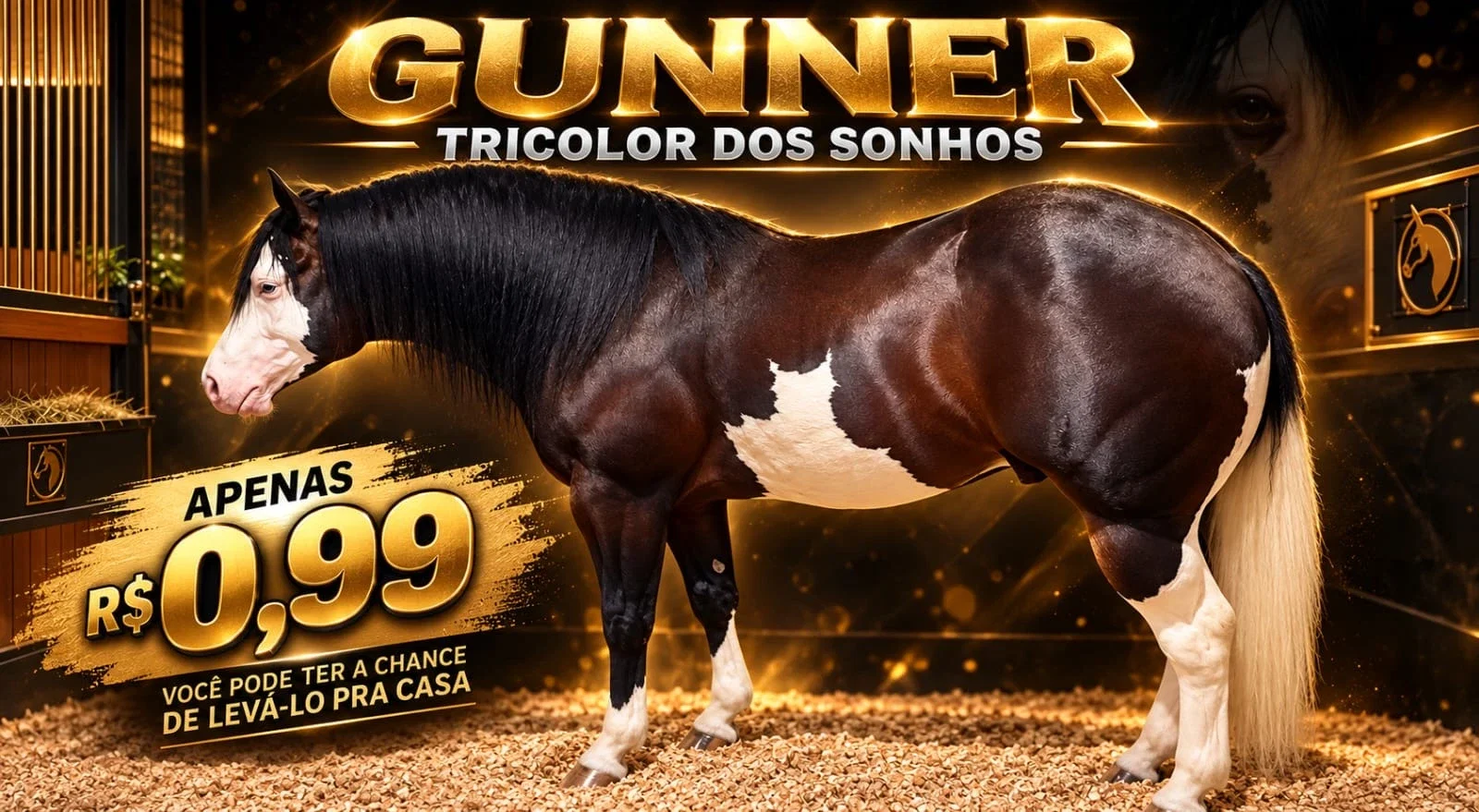 AÇAO GUNNER TRICOLOR DOS SONHOS