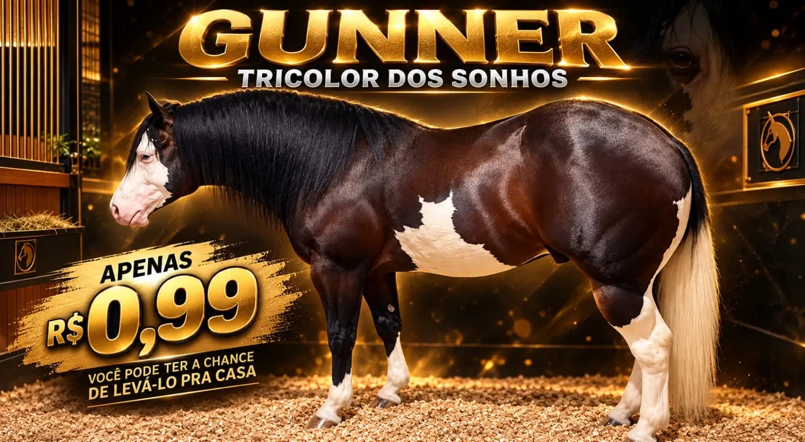 1ª imagem da campanha
