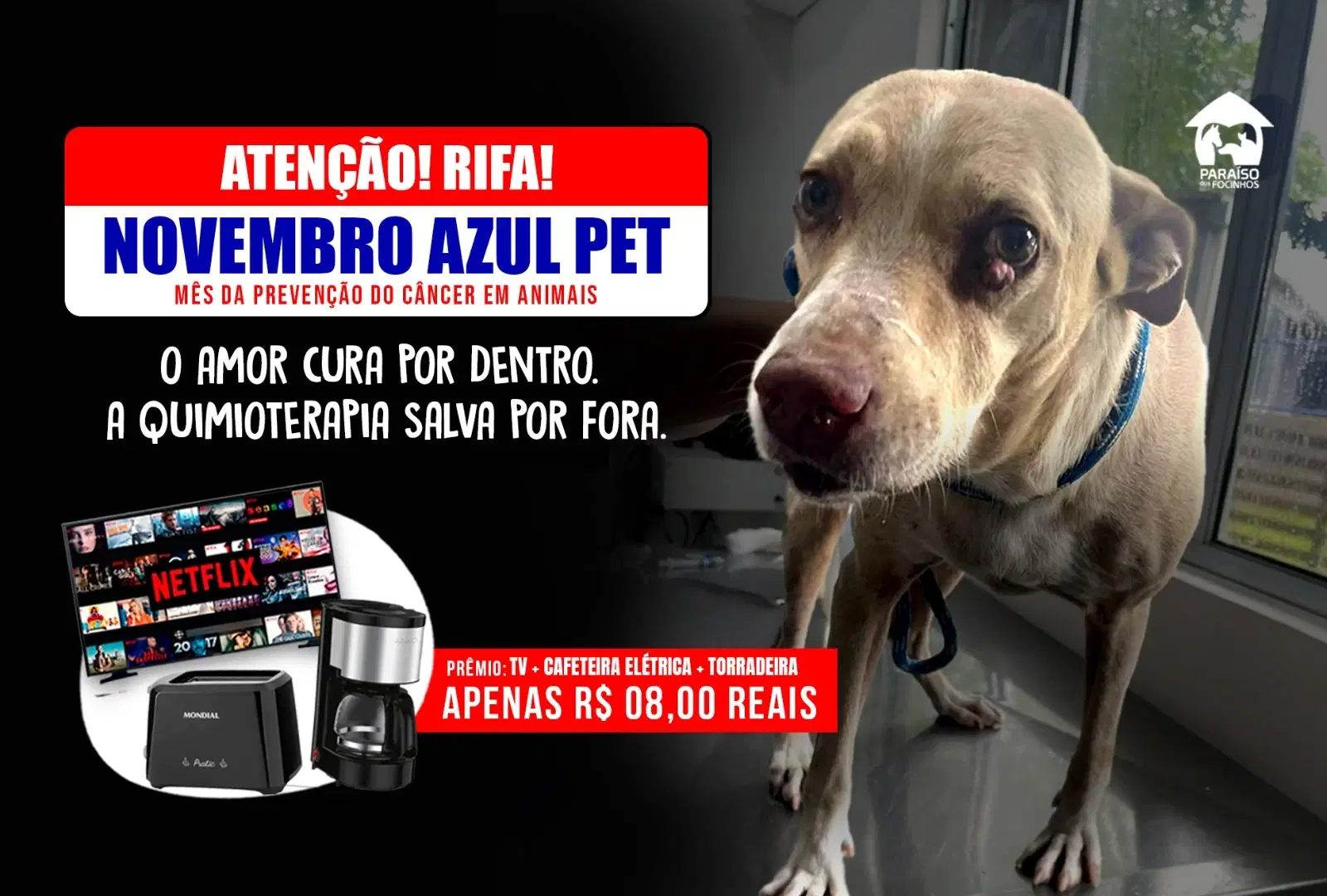 1ª imagem da campanha