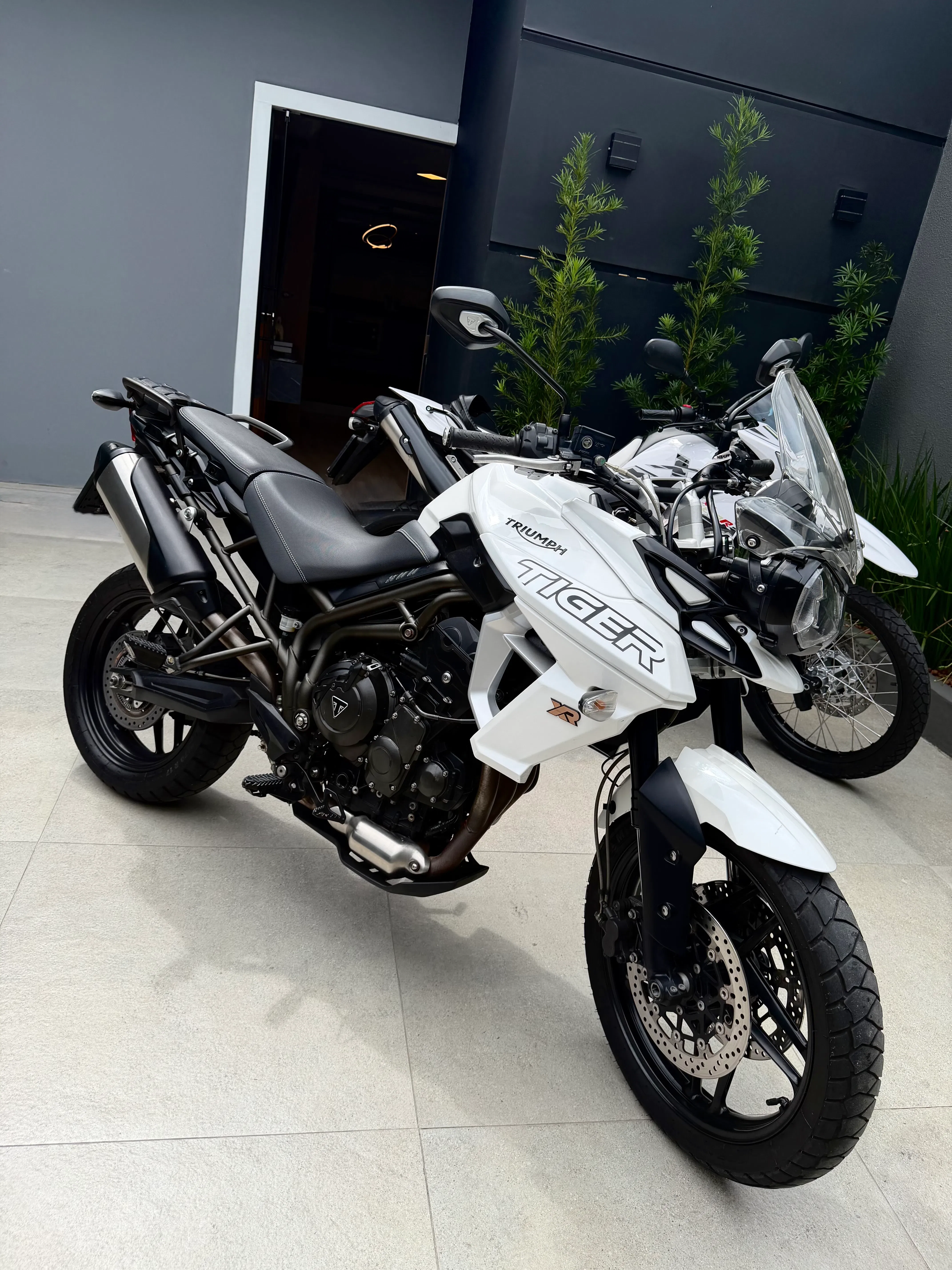 TIGER 800 ROBOZÃO