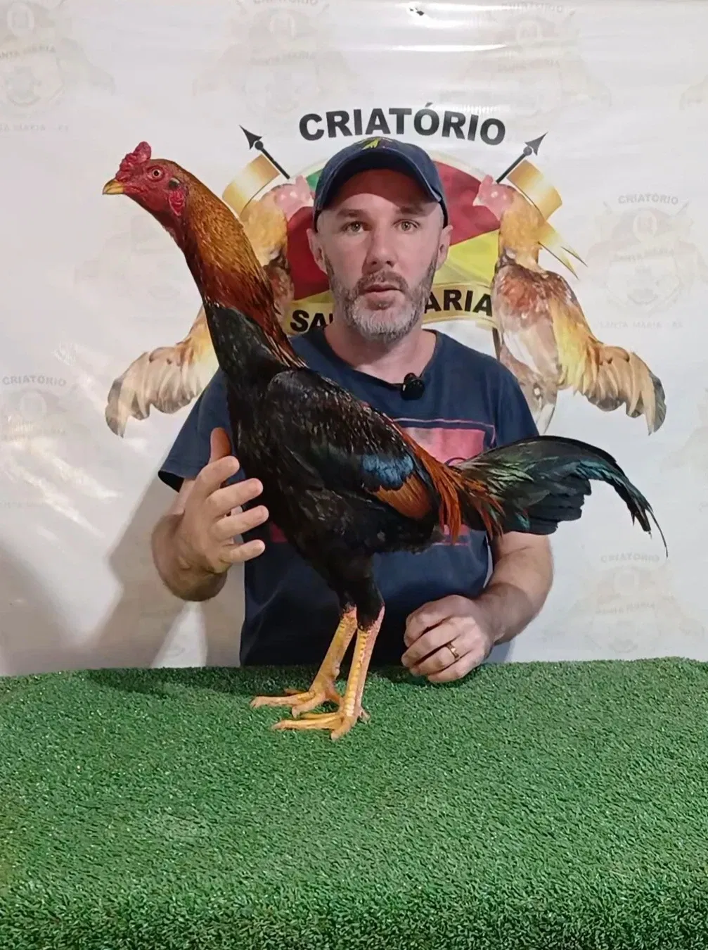 CHAPECÓ TAURA