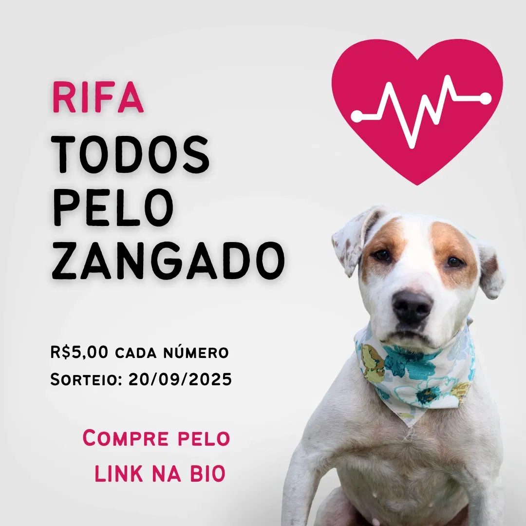 RIFA TODOS PELO ZANGADO