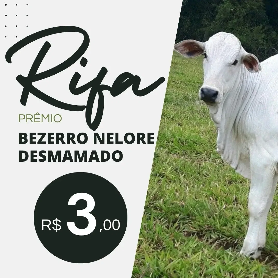 GADO DA SORTE