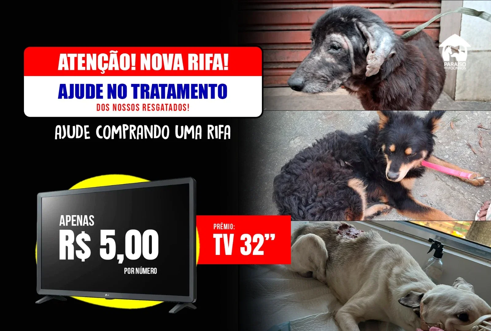 Ajude no tratamento dos nossos resgatados