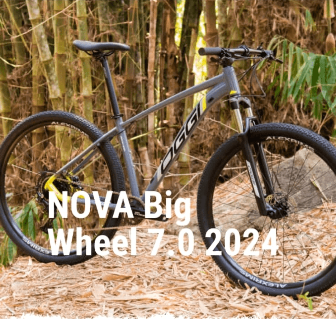 BiKe Oggy Big Wheel 7.0 (NOVA)