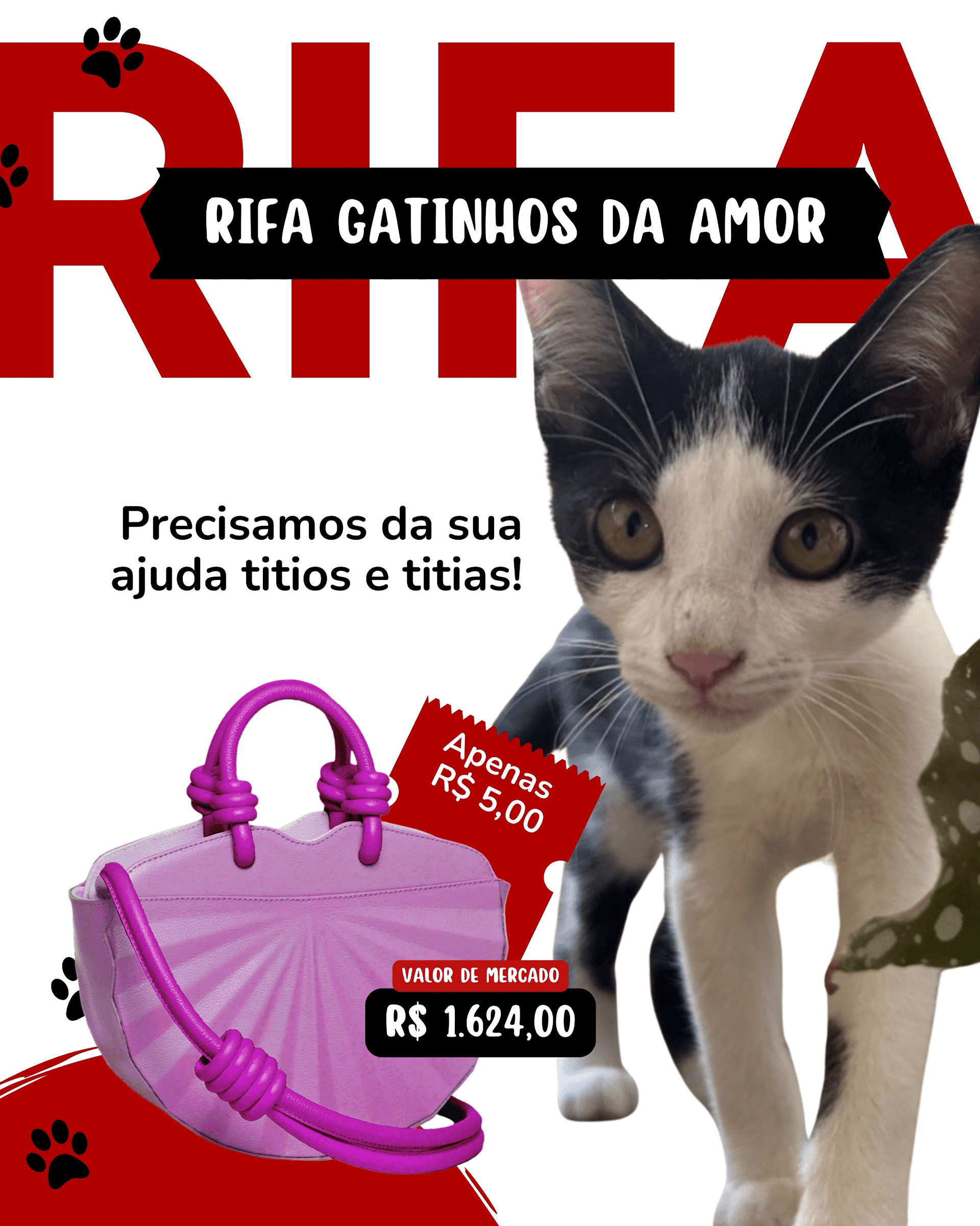 1ª imagem da campanha
