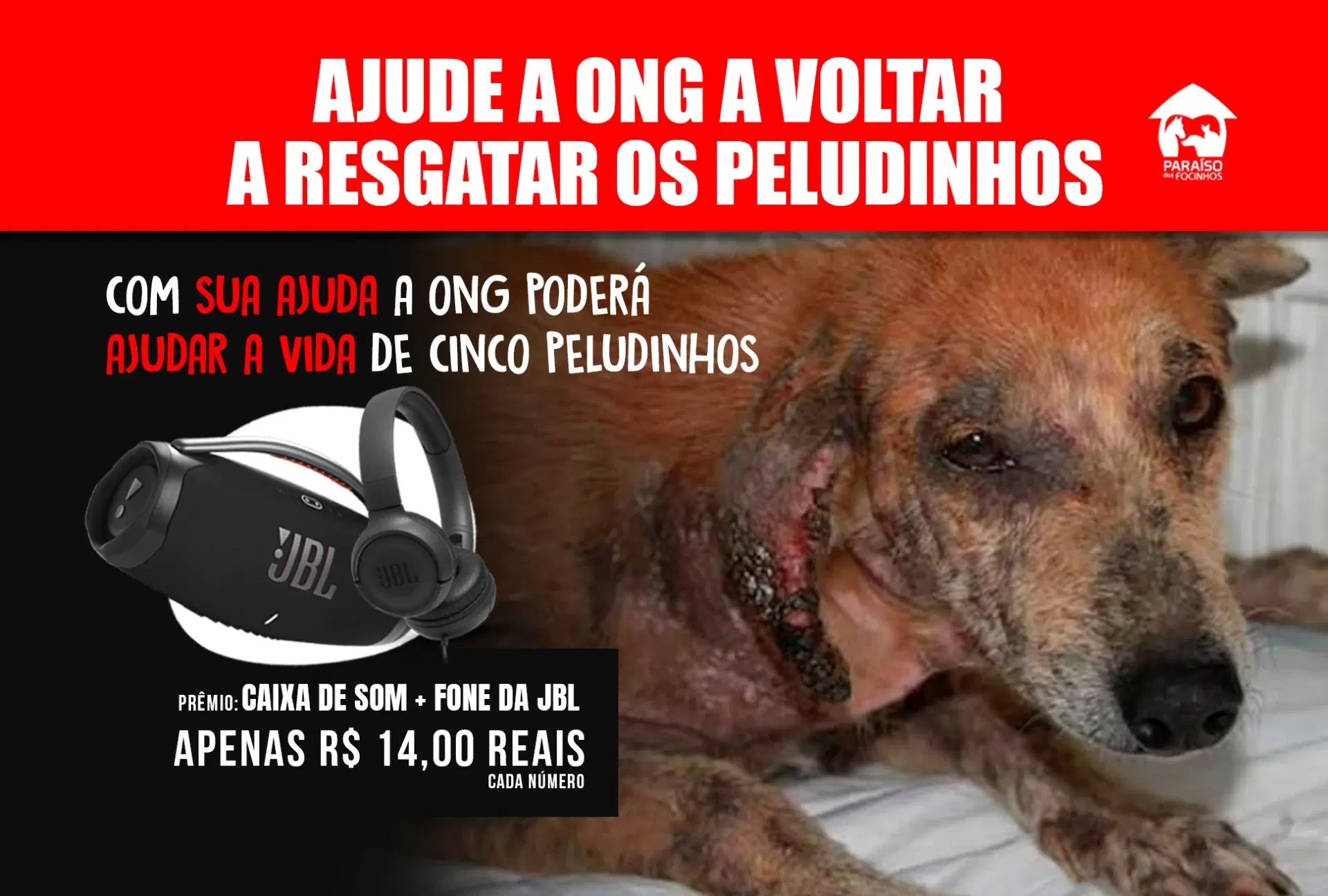 1ª imagem da campanha
