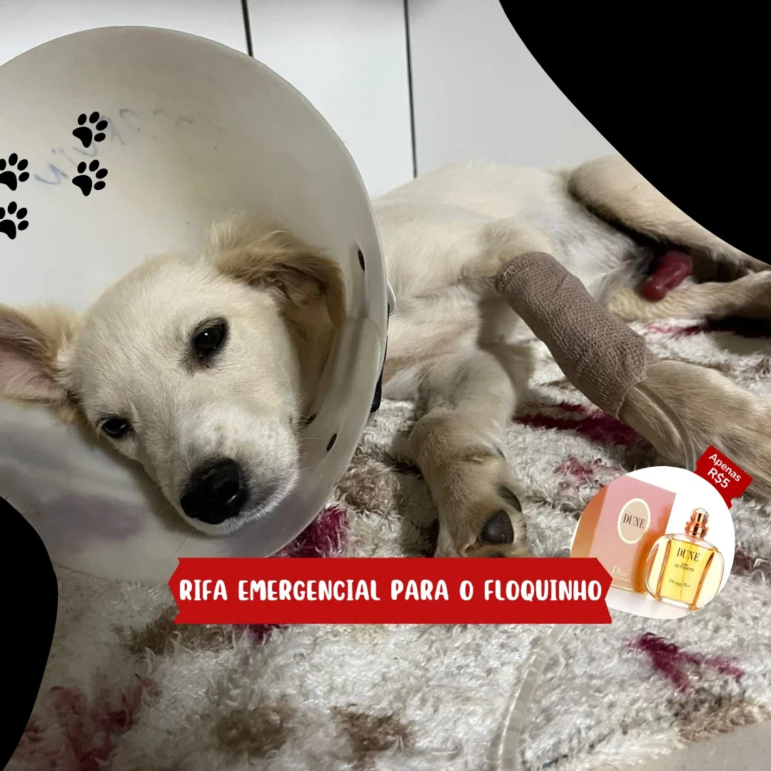 AJUDA URGENTE PARA O FLOQUINHO